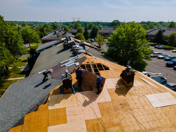 Best Commercial Roofing Services  in Everman, TX