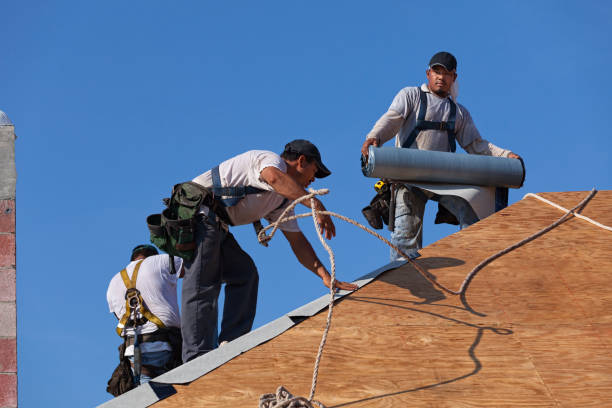 Professional Roofing Contractor in Everman, TX